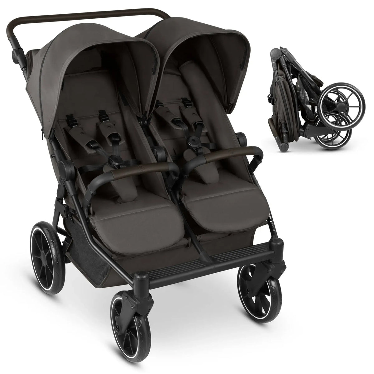 ABC Design Bayamo Nut