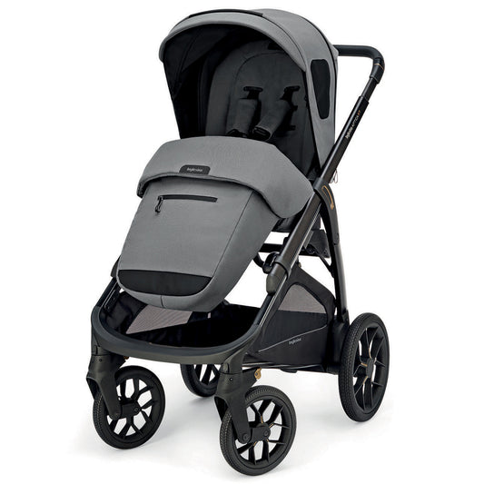 Inglesina Aptica XT CANYON GREY