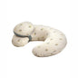 Jane Lactancy Cushion U78 BOTANIC