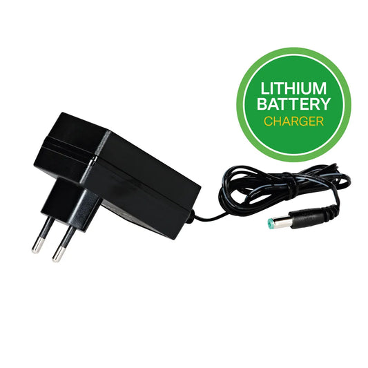Peg Perego 6V Battery Charger with Jack Connector - for Lithium Batteries IKCB0310