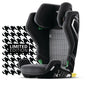 Axion 1 Pepita Recaro